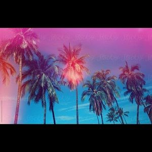 ✨Welcome To My Closet✨